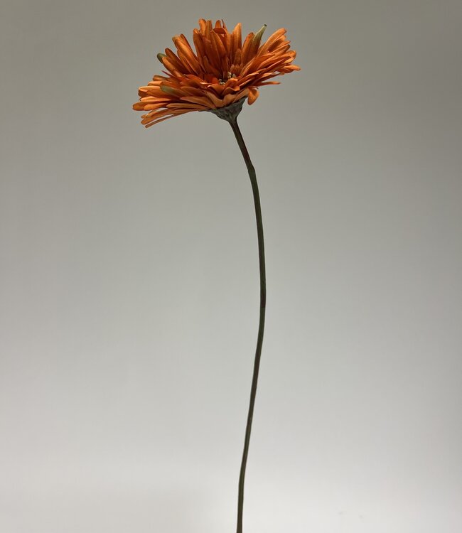 Orange Gerbera | Silk artificial flower | Length 70 centimeters