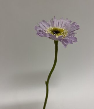 MyFlowers Paarse Gerbera | zijden kunstbloem | 28 centimeter