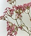 Pink Baby's Breath | Silk artificial flower | Length 70 centimeters