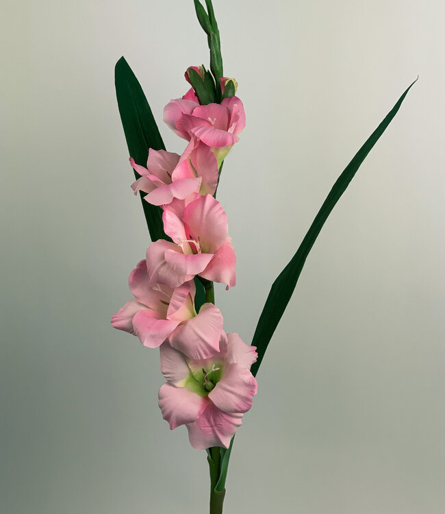 Roze Gladiool | Zijden kunstbloem | Lengte 83 centimeter