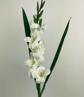 Weiße Gladiole | Kunstblume aus Seide | 83 Zentimeter