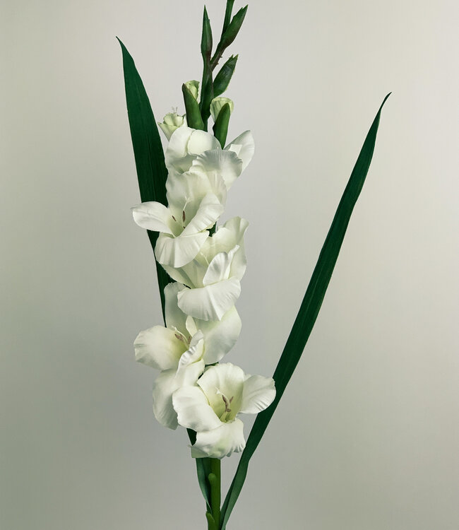 Weiße Gladiole | Kunstblume aus Seide | Länge 83 Zentimeter
