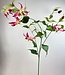 Fuchsia Gloriosa | Zijden kunstbloem | Lengte 120 centimeter