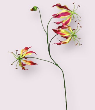 Fuchsia Gloriosa | silk artificial flower | 80 centimeters