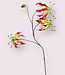 Fuchsia Gloriosa | Silk artificial flower | Length 80 centimeters
