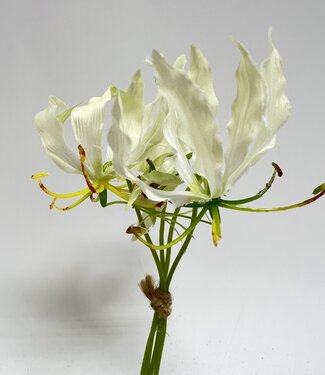 MyFlowers Witte Gloriosa Bundel | zijden kunstbloem | 20 centimeter