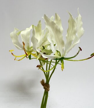 Silk Flowers by JJ Weißes Gloriosa-Bündel | Kunstblume aus Seide | 20 Zentimeter