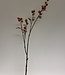 Orange Pomegranate Branch | Silk artificial flower | Length 101 centimeters