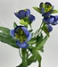 Blue Helleborus | Silk artificial flower | Length 45 centimeters