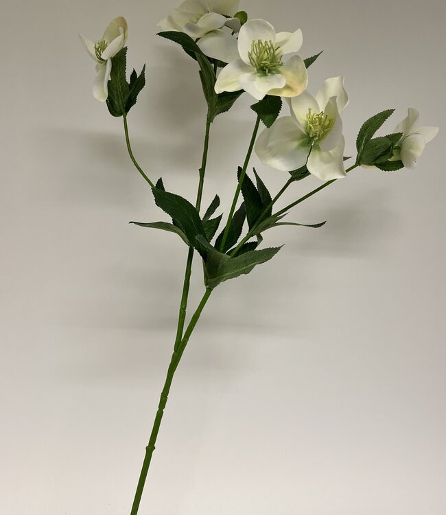White Helleborus | Silk artificial flower | Length 74 centimeters