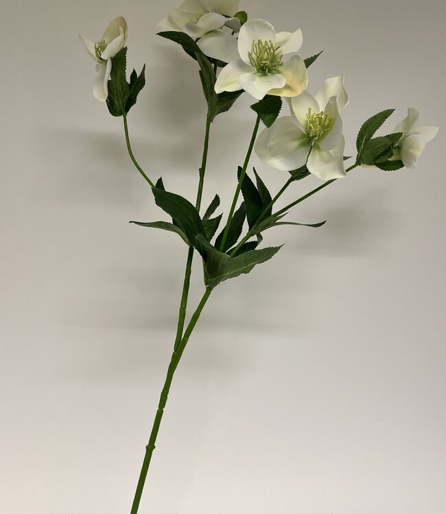 Witte Helleborus | Zijden kunstbloem | Lengte 74 centimeter