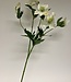 Hellébore blanc | Fleur artificielle en soie | Longueur 74 centimètres