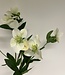 White Helleborus | Silk artificial flower | Length 74 centimeters