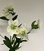 Witte Helleborus | Zijden kunstbloem | Lengte 74 centimeter