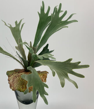 Grijsgroene Hertshoorn | zijden kunstbloem | 40 centimeter