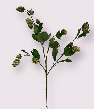 Green-pink Hop Branch | silk artificial flower | 77 centimeters