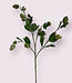 Green-pink Hop Branch | Silk artificial flower | Length 77 centimeters