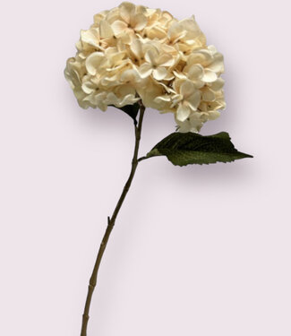 Cream-colored Hydrangea | silk artificial flower | 66 centimeters