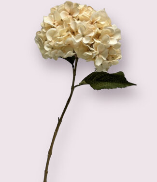 Silk Flowers by JJ Cream-colored Hydrangea | silk artificial flower | 66 centimeters