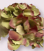 Hortensia rose-vert | Fleur artificielle en soie | Longueur 60 centimètres