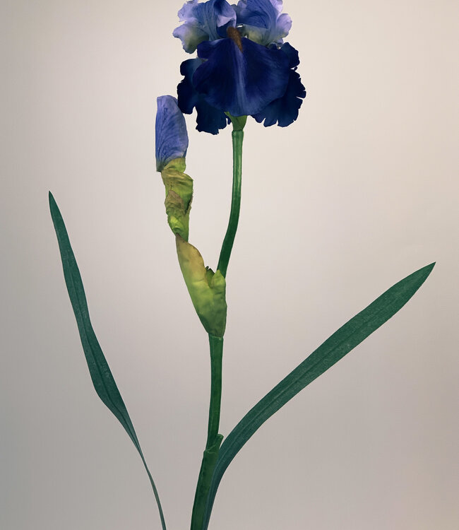Blauwpaarse Iris | Zijden kunstbloem | Lengte 71 centimeter