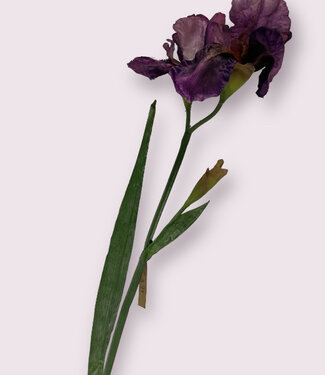 MyFlowers Purple Iris | silk artificial flower | 70 centimeters