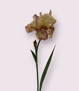 Silk Flowers by JJ Rosa Iris | Kunstblume aus Seide | 70 Zentimeter