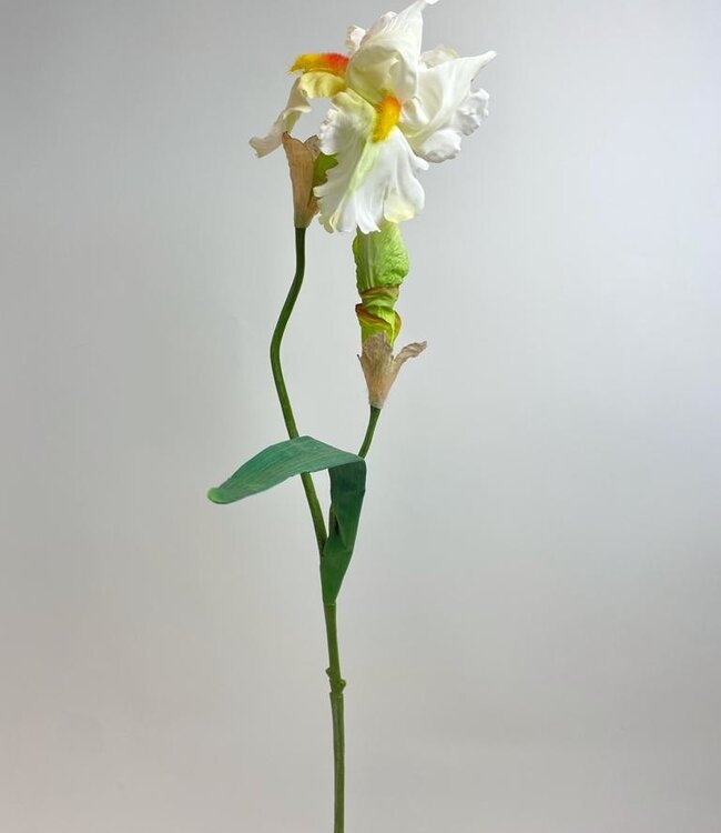 Witte Iris | Zijden kunstbloem | Lengte 83 centimeter