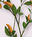 Orange Jalapeño Pepper | Silk artificial flower | Length 105 centimeters