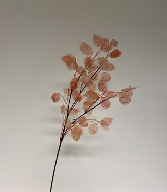 MyFlowers Roze Judaspenning | zijden kunstbloem | 75 centimeter