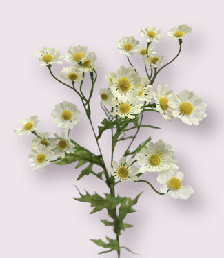 MyFlowers White Chamomile | silk artificial flower | 60 centimeters