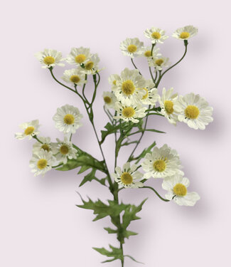 MyFlowers Witte Kamille | zijden kunstbloem | 60 centimeter