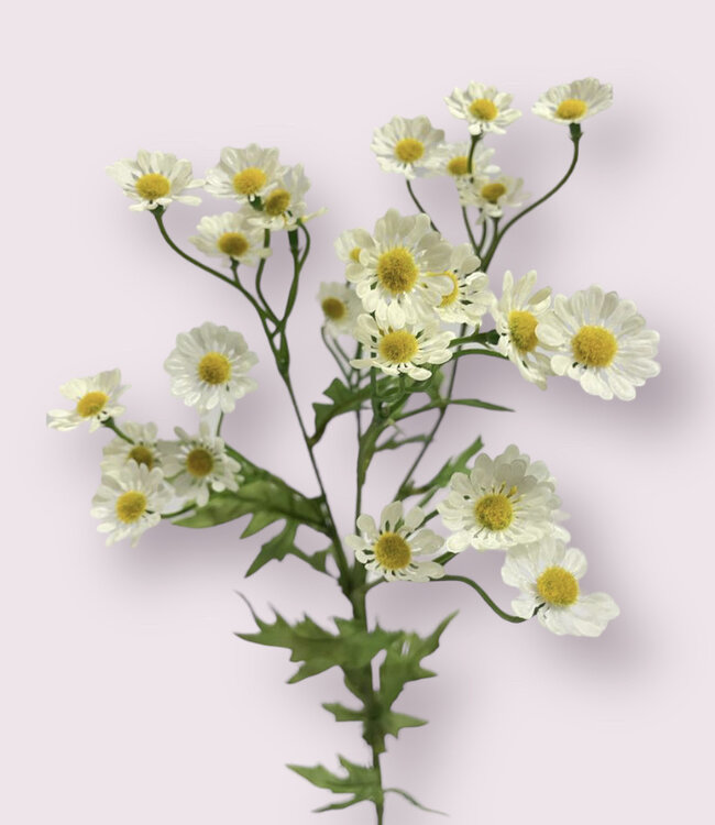 Witte Kamille | Zijden kunstbloem | Lengte 60 centimeter