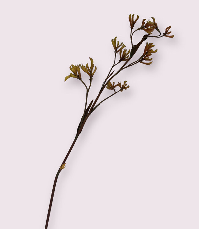 Yellow Kangaroo Paw | Silk artificial flower | Length 94 centimeters