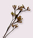 Yellow Kangaroo Paw | Silk artificial flower | Length 94 centimeters