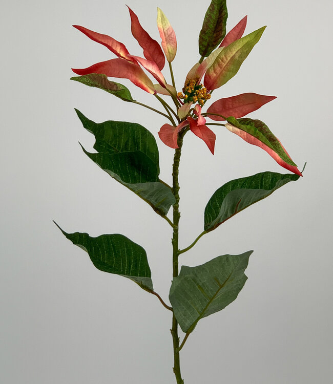 Peach-colored Christmas Star | Silk artificial flower | Length 77 centimeters