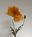 Orange Mohn | Kunstblume aus Seide | Länge 65 Zentimeter