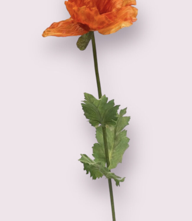 Coquelicot orange | Fleur artificielle en soie | Longueur 80 centimètres