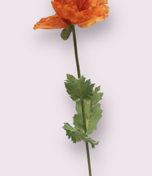 Oranje Klaproos | Zijden kunstbloem | Lengte 80 centimeter