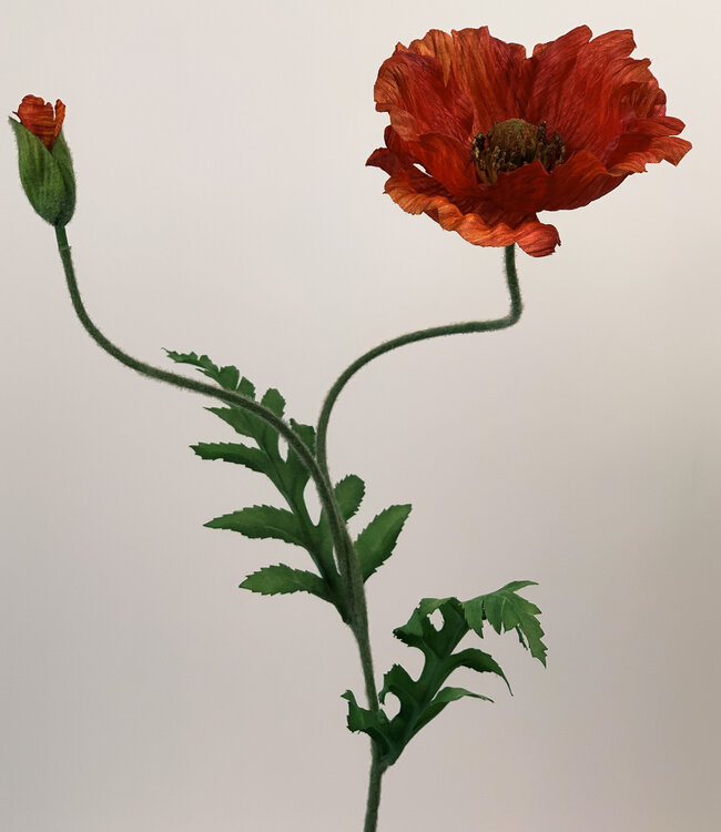 Red Poppy | Silk artificial flower | Length 65 centimeters