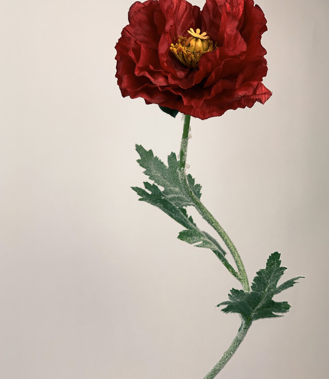 Red Poppy | Silk artificial flower | Length 75 centimeters