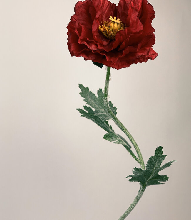 Rode Klaproos | Zijden kunstbloem | Lengte 75 centimeter