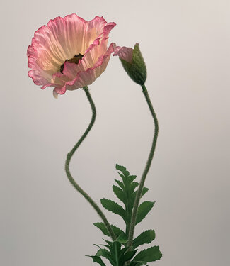 MyFlowers Pink Poppy | silk artificial flower | 65 centimeters