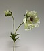 White Poppy | Silk artificial flower | Length 66 centimeters