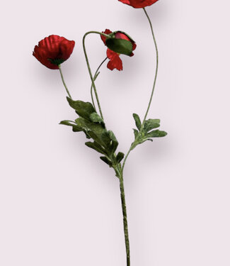 MyFlowers Red Poppy X4 | silk artificial flower | 60 centimeters