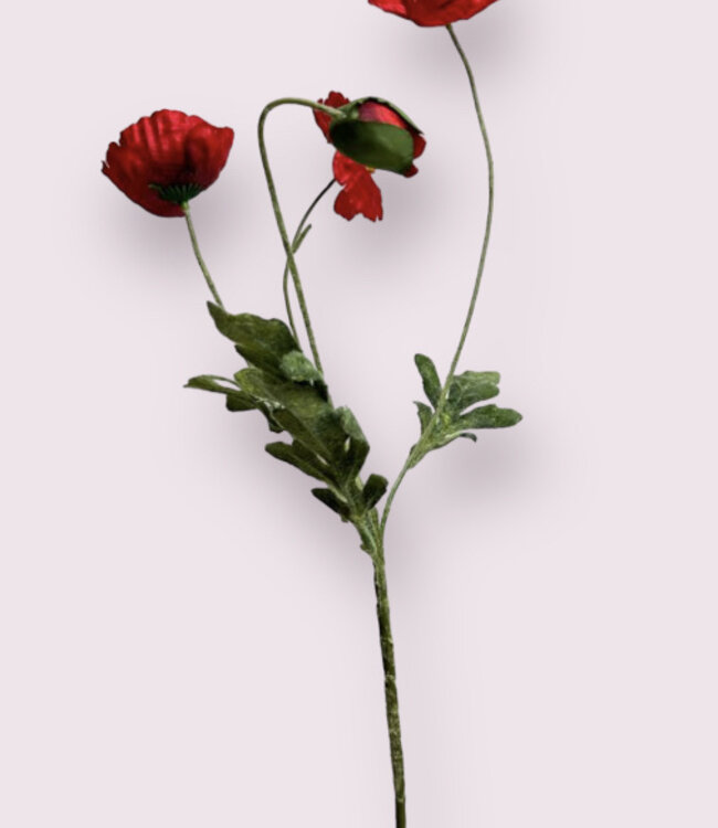 Rote Mohnblume X4 | Kunstblume aus Seide | Länge 60 Zentimeter