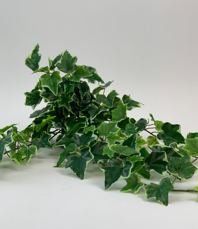 Green-white Ivy | Silk artificial flower | Length 70 centimeters