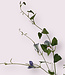 Blue Bellflower | Silk artificial flower | Length 90 centimeters