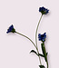 Blue Cornflower | Silk artificial flower | Length 59 centimeters