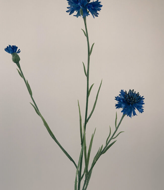Blaue Kornblume | Kunstblume aus Seide | Länge 62 Zentimeter